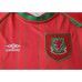 1994-96 Wales Home